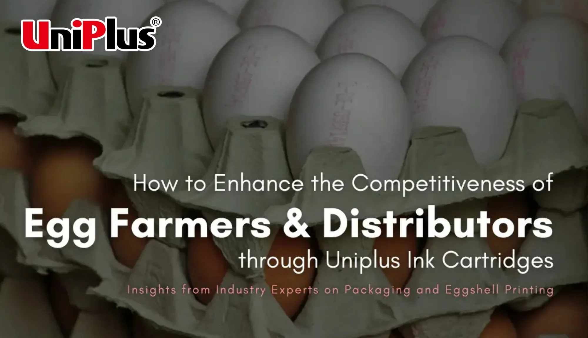 How to Boost the Competitiveness of Egg Farmers and Distributors through TIJ Ink Cartridges - Un